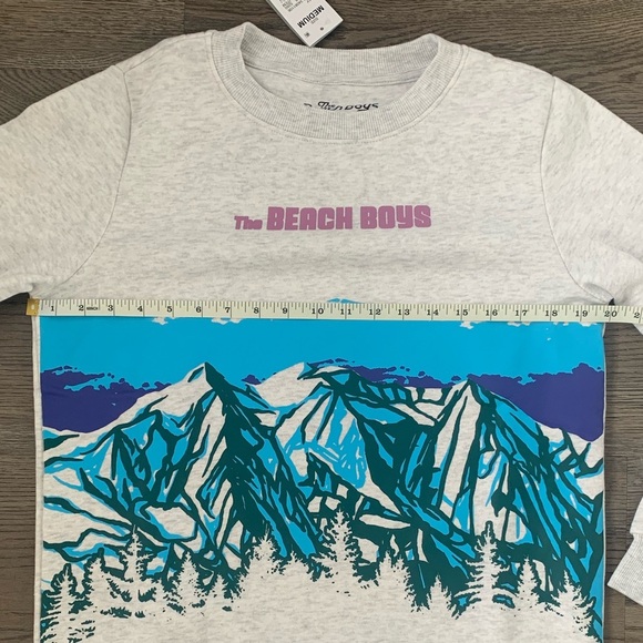 The Beach Boys Mountain Graphic Sweatshirt - Size M - Gray - NWT - Picture 6 of 8